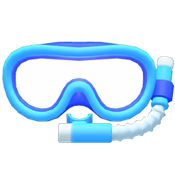 Snorkel Mask
