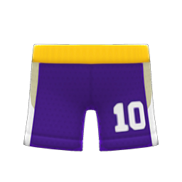 Basketball Shorts