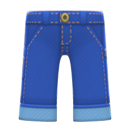 Denim Painter's Pants