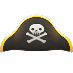 Pirate's Hat