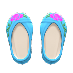 Embroidered Shoes