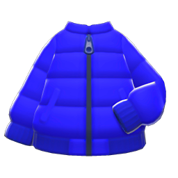 Down Jacket
