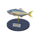 Horse Mackerel Model
