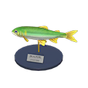 Sweetfish Model