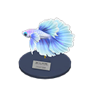 Betta Model