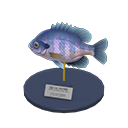 Bluegill Model