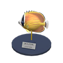 Butterfly Fish Model