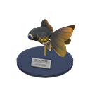 Pop-Eyed Goldfish Model