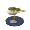 Blowfish Model