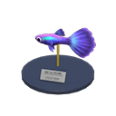 Guppy Model