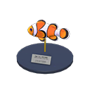 Clown Fish Model