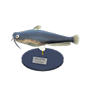Catfish Model