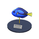 Surgeonfish Model