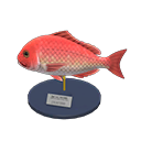 Red Snapper Model