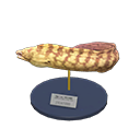 Moray Eel Model