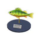 Yellow Perch Model