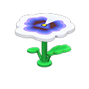 Pansy Table