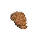 Coprolite