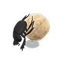 Dung Beetle Model