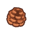 Pine Cone