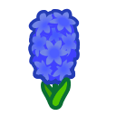 Blue Hyacinths