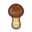 Elegant Mushroom