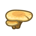 Flat Mushroom