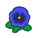 Blue Pansies