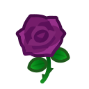 Purple Roses