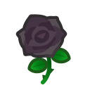 Black Roses