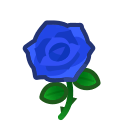 Blue Roses