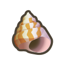 Sea Snail
