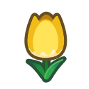 Yellow Tulips