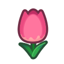 Pink Tulips