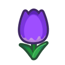 Purple Tulips