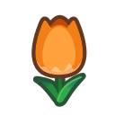 Orange Tulips