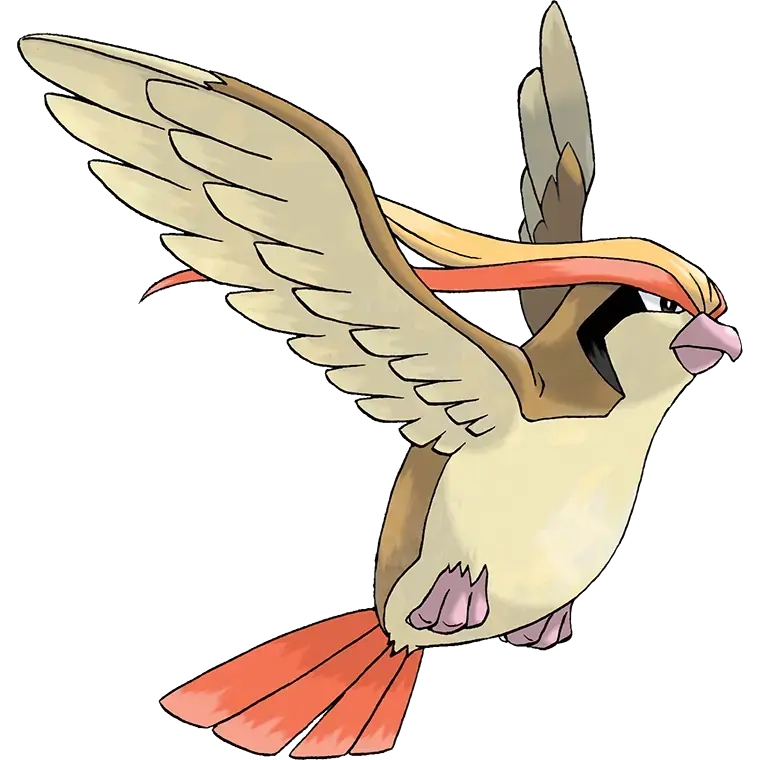 Pidgeot