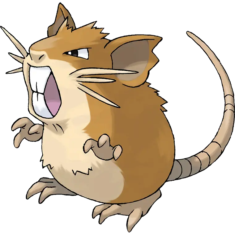 Raticate