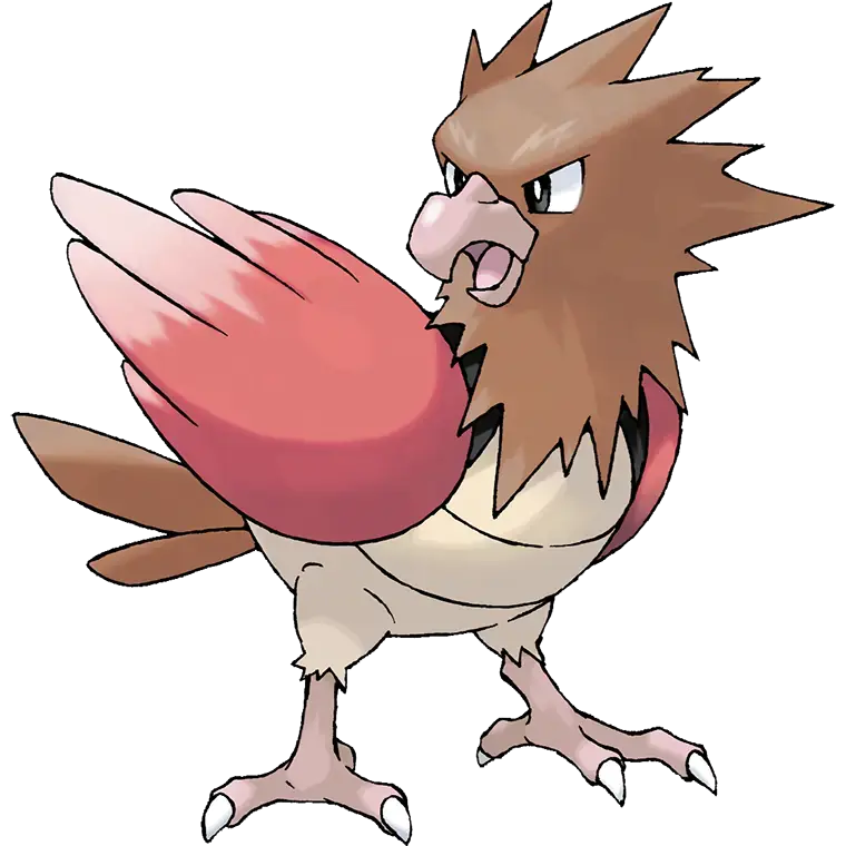 Spearow
