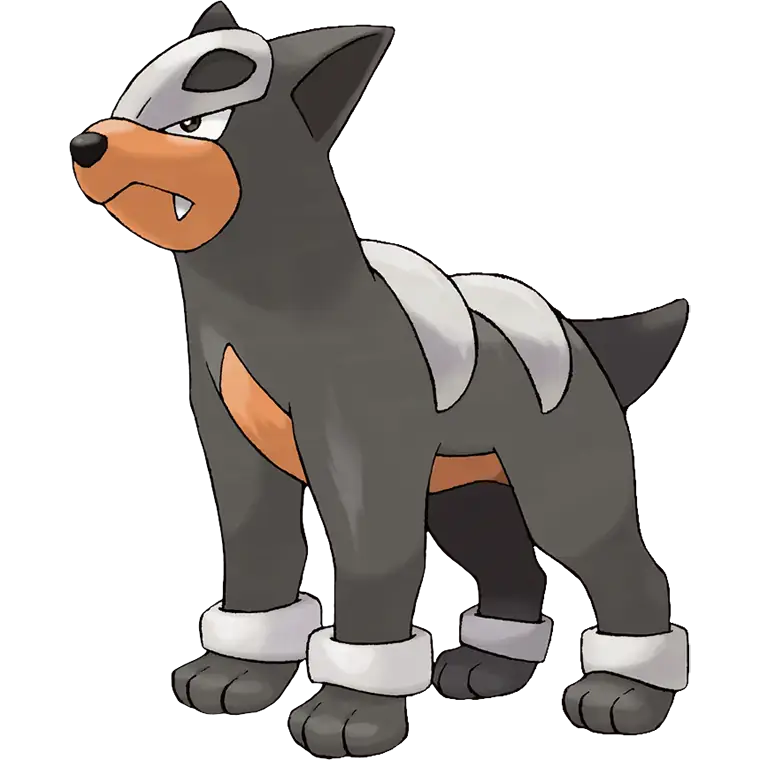 Houndour