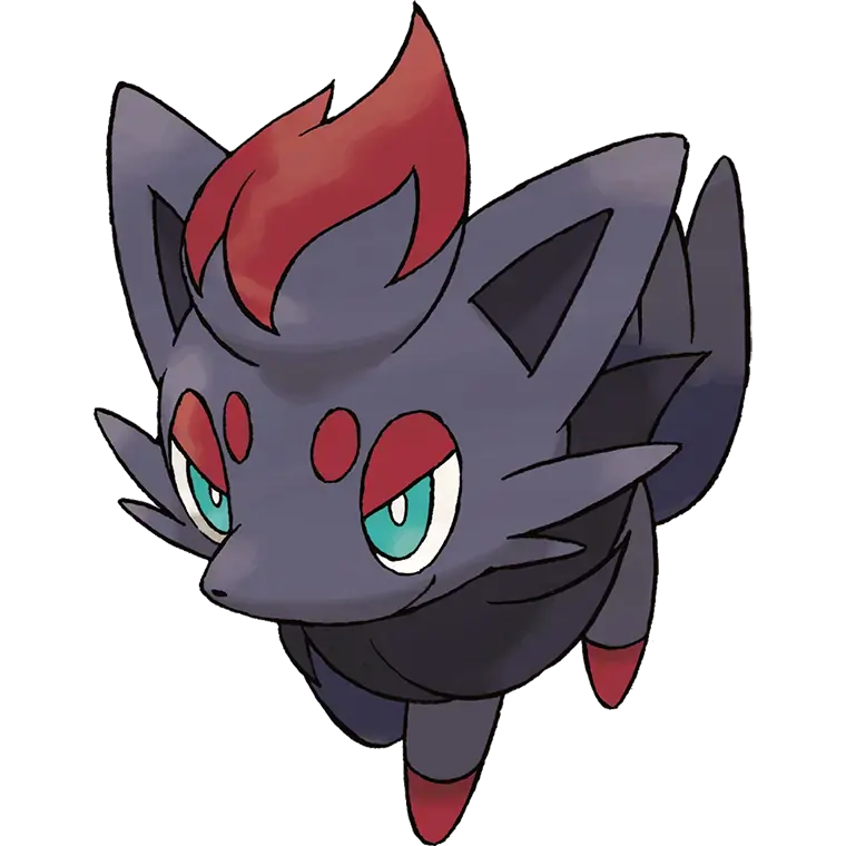 Zorua