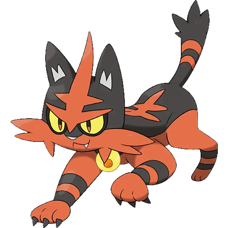 Torracat