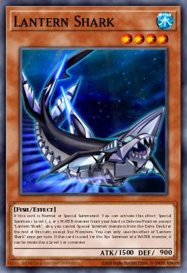 Lantern Shark